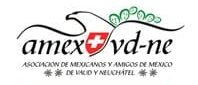 AMEX VD-NE 2013